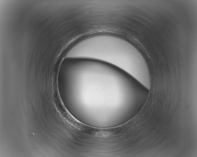X0000078870444200611131032