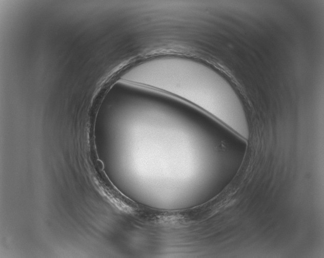 X0000078870446200611131032