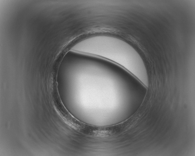 X0000078870448200611131032