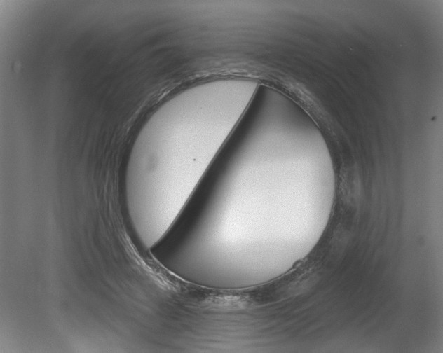 X0000078870449200611131032