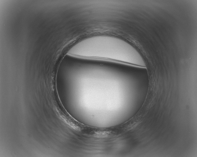 X0000078870450200611131032