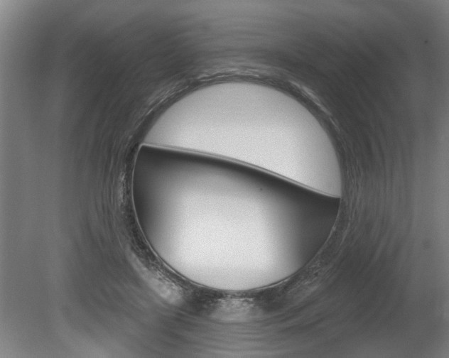 X0000078870451200611131032