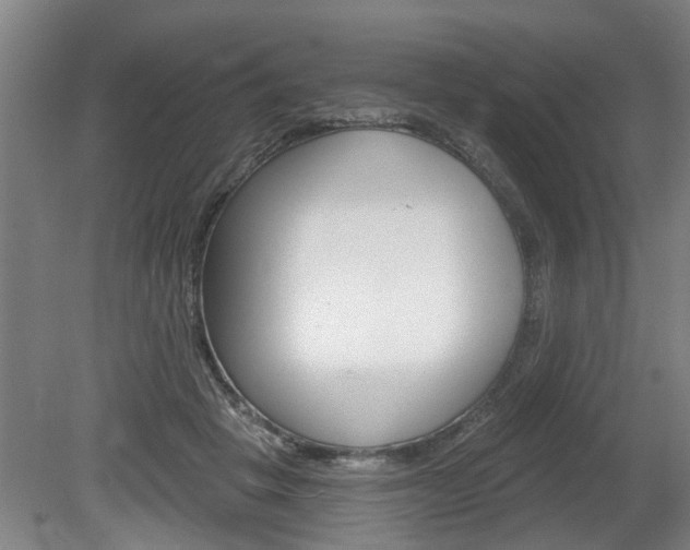 X0000078870457200611131032