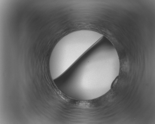 X0000078870471200611131032