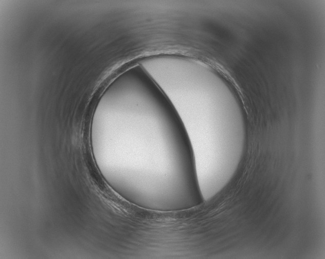 X0000078870483200611131032