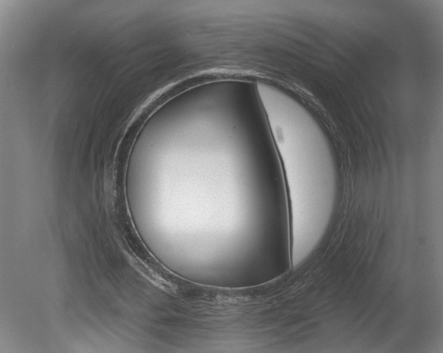 X0000078870484200611131032