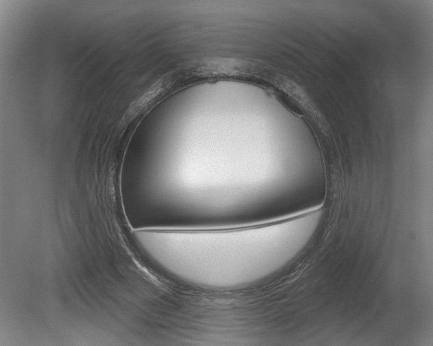 X0000078870489200611131032