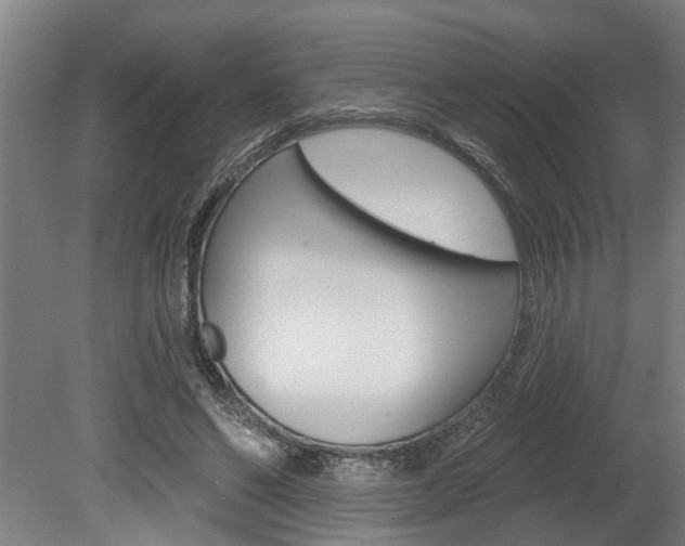 X0000078870494200611131032