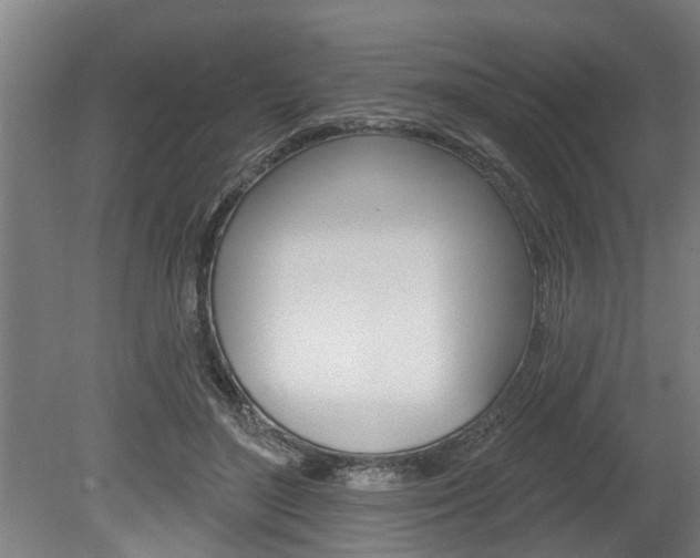 X0000078870500200611131032