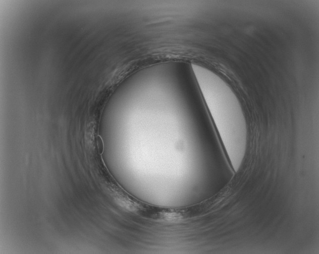 X0000078870509200611131031