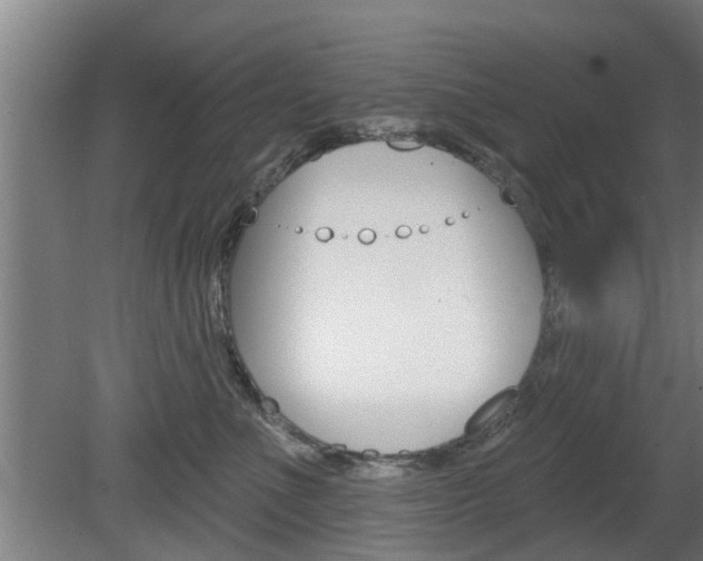 X0000078870523200611131031