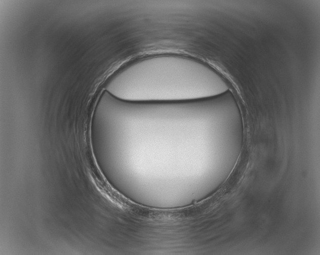 X0000078870533200611131030