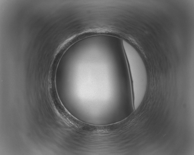 X0000078870536200611131030