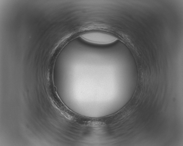 X0000078870539200611131030