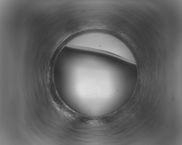 X0000078870544200611131031