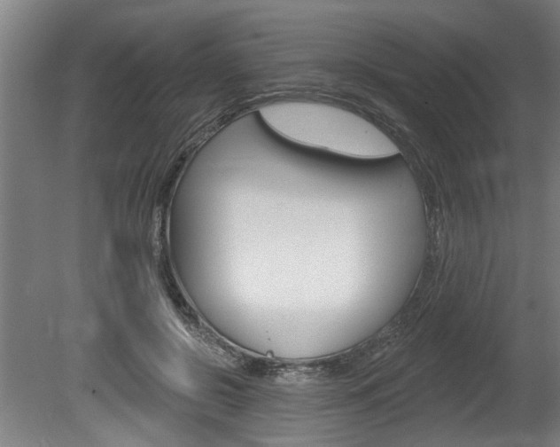 X0000078870550200611131031