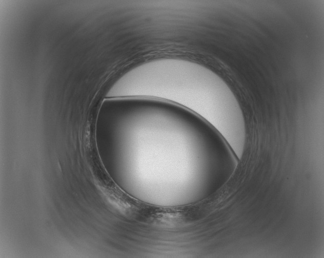 X0000078870552200611131031