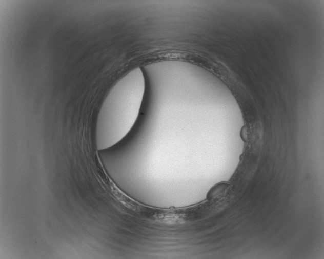 X0000078870553200611131031