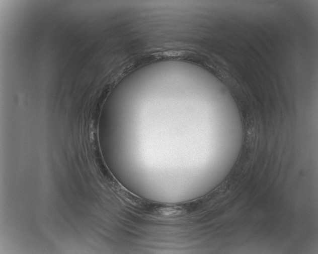 X0000078870555200611131031