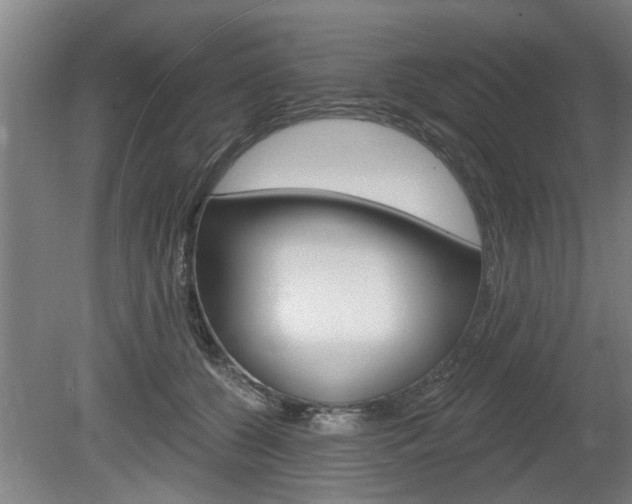 X0000078870560200611131031