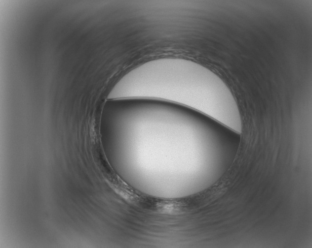 X0000078870564200611131031