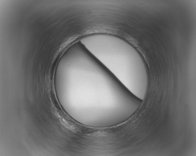 X0000078870578200611131030