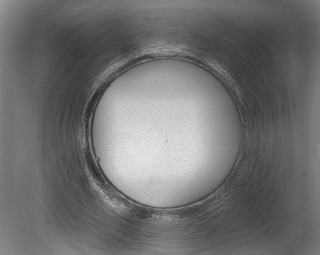 X0000078870582200611131030