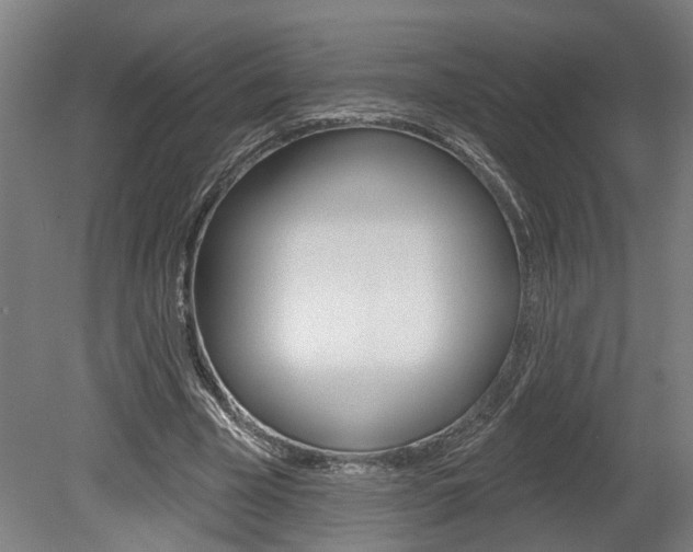 X0000078870585200611131030