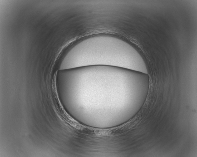 X0000078870587200611131030