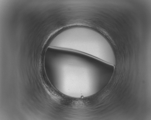 X0000078870588200611131030
