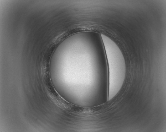 X0000078870600200611131030