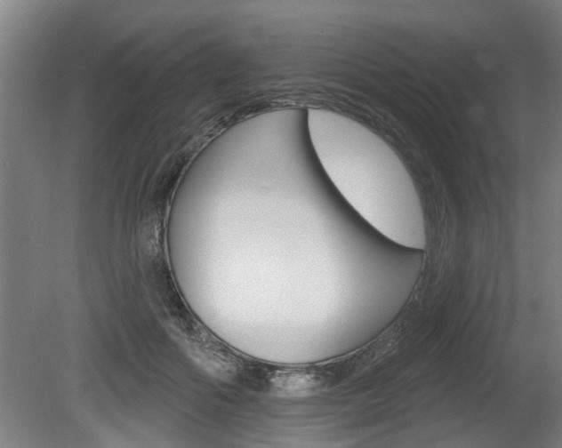 X0000078870602200611131030