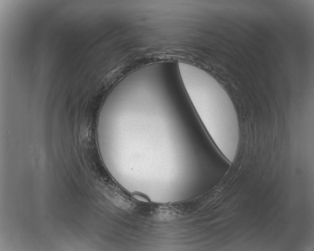 X0000078870608200611131030