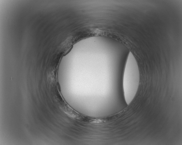 X0000078870611200611131030