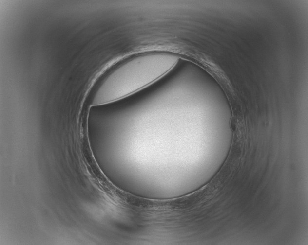 X0000078870628200611131029