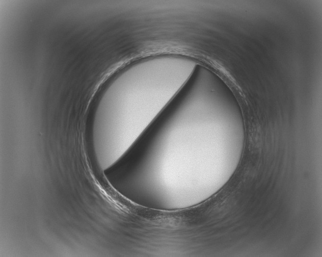 X0000078870629200611131029