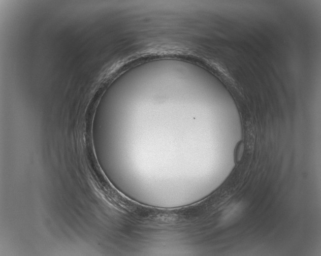 X0000078870631200611131029