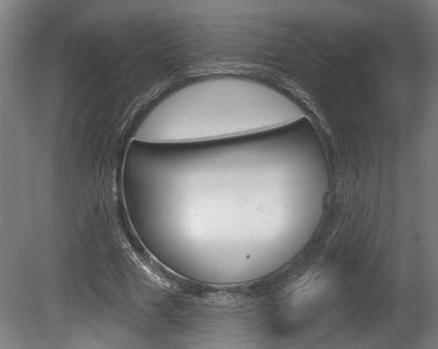 X0000078870633200611131029