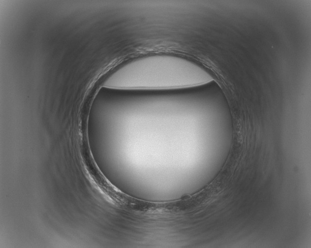X0000078870634200611131029