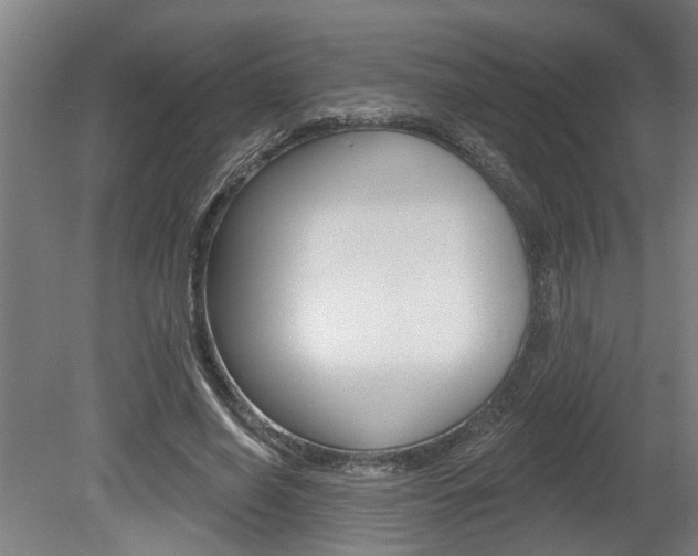 X0000078870638200611131029