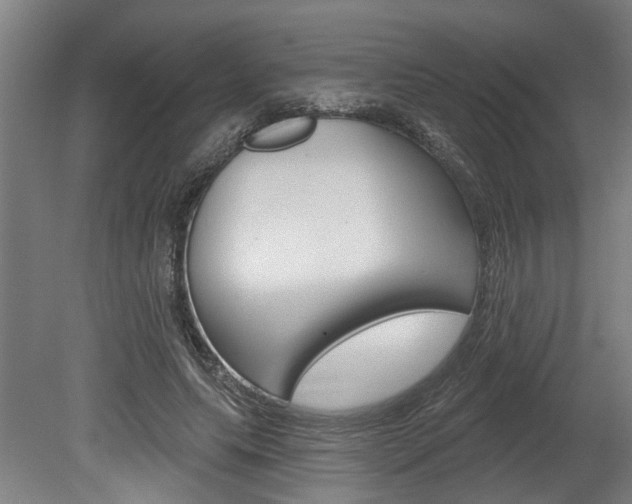 X0000078870639200611131029