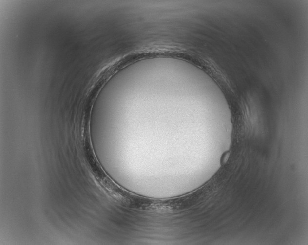 X0000078870640200611131029