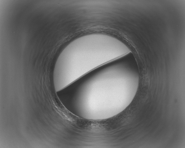 X0000078870641200611131029