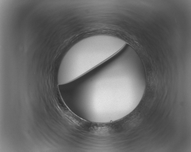 X0000078870645200611131029