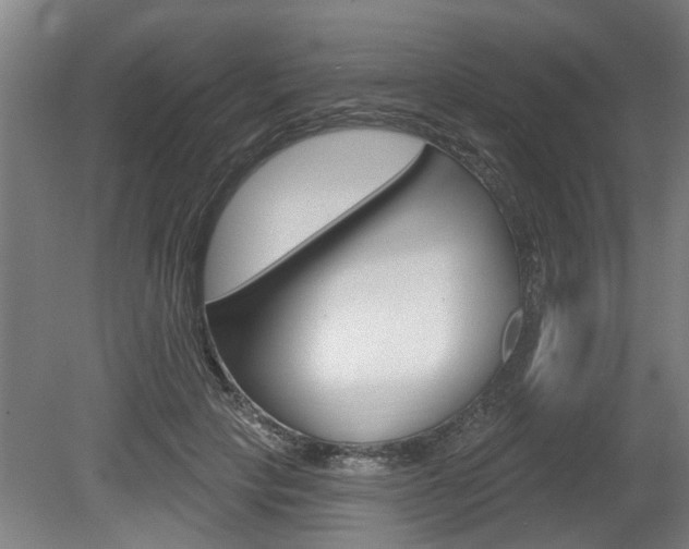 X0000078870649200611131029