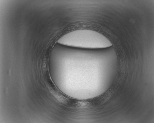 X0000078870654200611131029