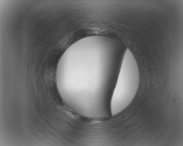 X0000078870657200611131029