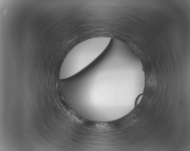 X0000078870666200611131029