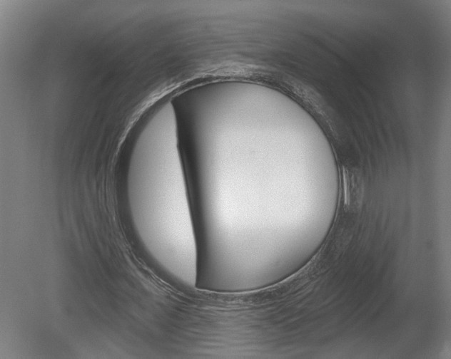 X0000078870675200611131029