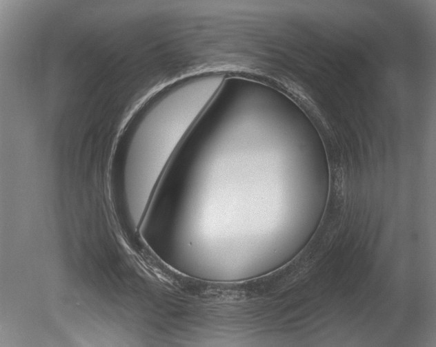 X0000078870676200611131029